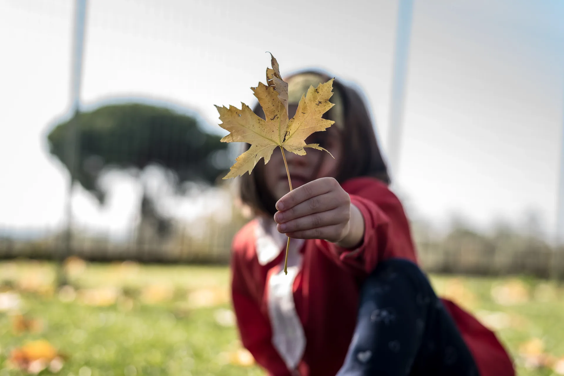 Preview di La Fattoria e Orto Didattico “Santa Marta Green”